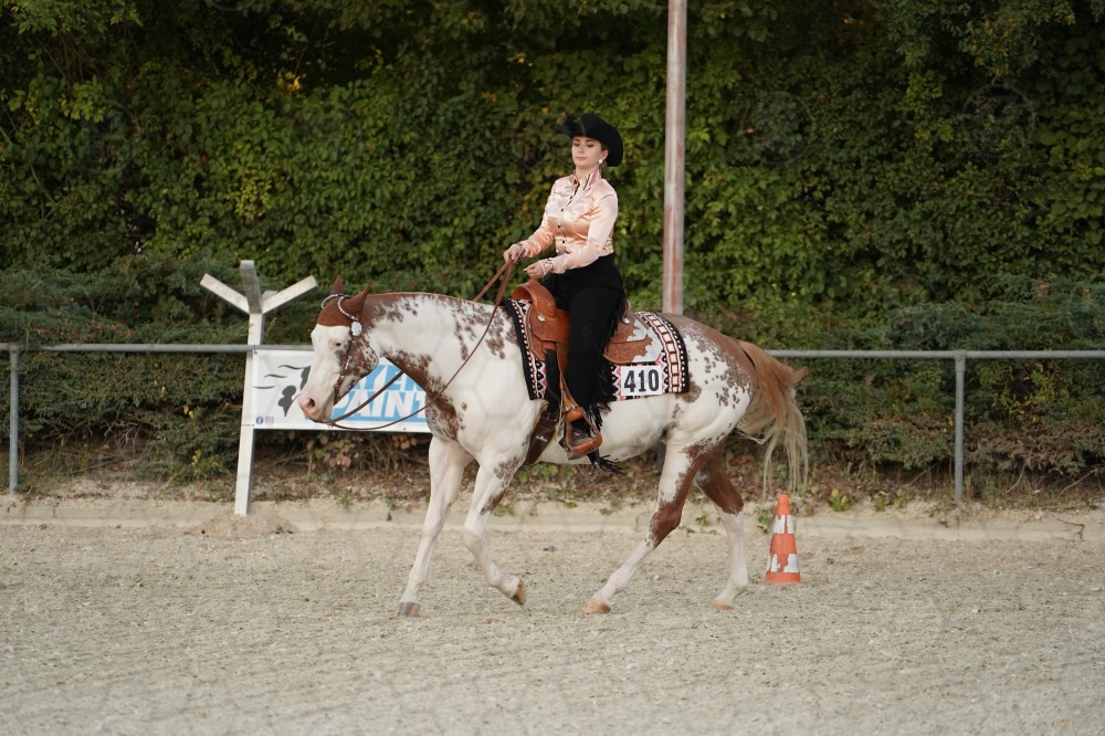 s_A_907006.JPG